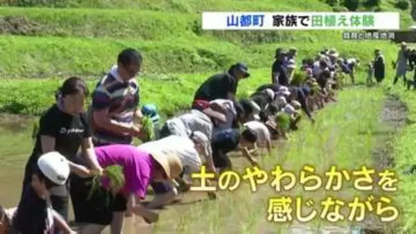 オタマジャクシもいた！国宝 通潤橋を眺めながら　田植え体験
