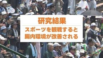 スポーツ観戦で腸内環境改善 ワクワクドキドキで"善玉菌"が増加！【世界初の研究結果】熊本・菊陽町と九州大学が実証実験の結果公表