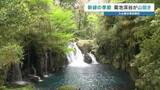 「赤ちゃんもニッコリ！ 菊池渓谷が山開き 昨シーズンの来場者は5年前の3倍に　外国人観光客も絶賛する新緑の魅力」の画像1