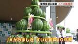 「熊本地震10年　スイカ生産者が感謝の気持ち込めて」の画像1
