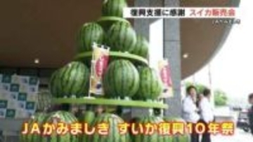 熊本地震10年　スイカ生産者が感謝の気持ち込めて