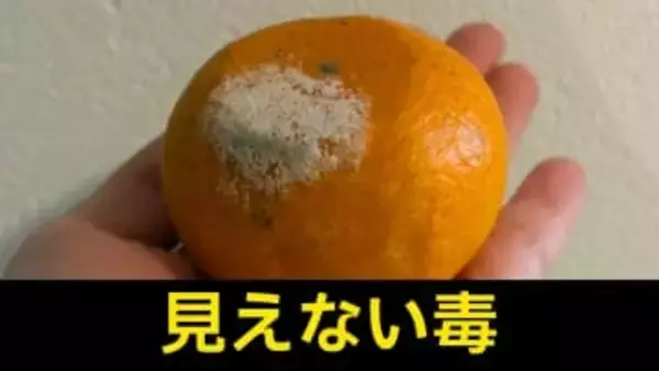 「カビた部分だけ捨てる」は誤解　中には“最強クラスの発がん性”を持つ毒も…加熱しても消えない『カビ毒』の正体