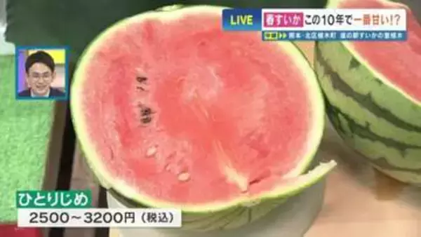 熊本のスイカは今が甘い！ そして「〇〇が凸凹」を選ぶべし　スイカの名産地 熊本・植木の道の駅