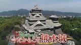 「崩れた7万個 "石垣の声"を聴き元に戻す果てなき挑戦　城好きプロレスラー藤波辰爾が見た熊本城復旧の最前線①」の画像1