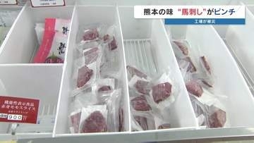 お盆に欠かせない「熊本の味」馬刺しが品切れ　御船町の馬刺し工場が被災　「10年前の悪夢が呼び覚まされた」2026年熊本地震