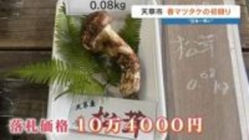 今年も高橋英樹さんが競り落とす 「日本一早い」春マツタケ1本10万4000円　熊本・天草市の青果市場
