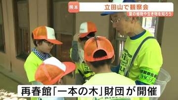 クワガタにトノサマパッタ・・夏の立田山で 植物や生き物を観察しよう