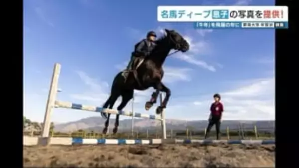 ディープインパクトの息子「ダノンプレジデント」 3月引退の「フェアリーミラー」の2頭　年賀状用の画像を熊本・東海大学が公開