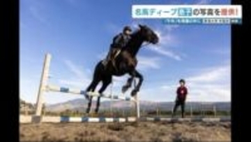 ディープインパクトの息子「ダノンプレジデント」 3月引退の「フェアリーミラー」の2頭　年賀状用の画像を熊本・東海大学が公開