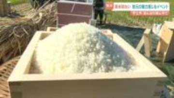 新米とのりを楽しむ　田んぼの真ん中で朝ごはん　熊本・宇土市