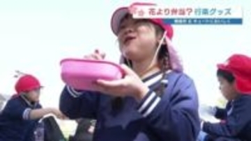 桜とともに「行楽」前線やって来る！ かわいい＆機能的「お弁当グッズ」最新事情　桜