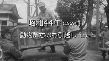 動物たちのお引越し【昭和44年・1969年】～RKKニュースミュージアム～ 熊本