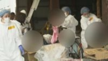 ネコ150匹 多頭飼育崩壊か　排せつ物を放置、餌を与えず13匹死なせた罪で女性に罰金10万円　熊本