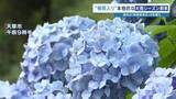 「【大雨シーズン警戒を】熊本が“梅雨入り”　週末は警報級の大雨も　＜16日先までの天気＞あり」の画像1