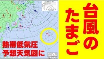 【台風のたまご】また次の“熱帯低気圧”が日本のはるか東の海上で発生へ　気象庁発表の予想天気図に現る　海面水温高く今後、発達するか注視