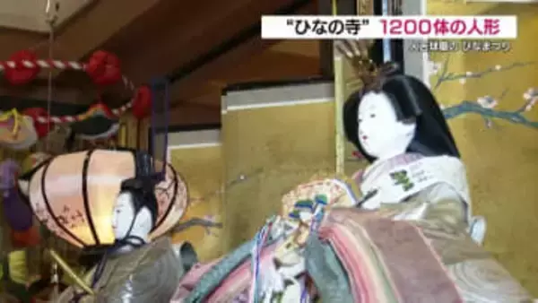 本堂を埋め尽くす1200体は「亡き親の愛」　去年12年ぶりに復活した“ひなの寺”の春　熊本・専徳寺