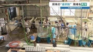 「色々な魚種や貝…すごい」水産業の現場を高校生が見学　魚卵の人工ふ化、種苗生産…天草・熊本