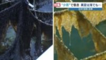 雨不足で各産業が「異常事態」黒いはずのノリが黄色く“色落ち” 苦渋の4割撤去　ガソリンスタンドでは「洗車ご遠慮ください…」　熊本