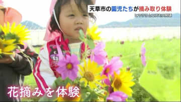 みんなで植えたヒマワリ、両手いっぱいに抱きしめて　「秋の花束」誰にあげる？　熊本県天草市