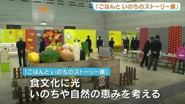 食文化に光を当て 食につながる命や自然の恵みを考える「ごはんといのちのストーリー展」