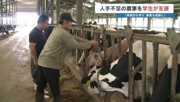農家の手助けに… 大学生が農業支援　実践的な学びも　熊本・産山村