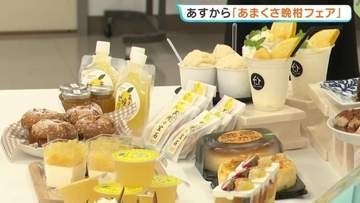 天草の初夏の味！チーズケーキや限定カクテルなど24品「あまくさ晩柑フェア」6月6日スタート　熊本