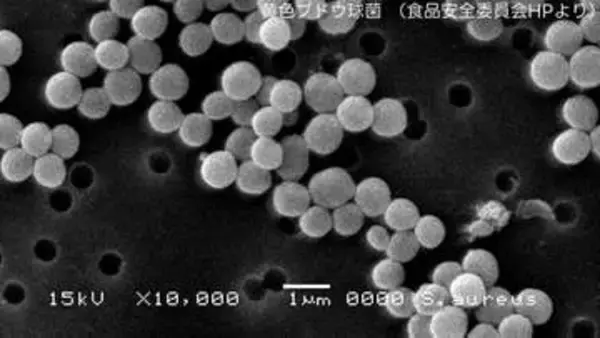 【弁当で食中毒発生】黄色ブドウ球菌で5人が腹痛など訴え　八代の飲食店「がらっぱ」28～29日営業停止　熊本県