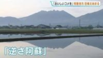 この時期"晴れた早朝だけ"見られる絶景！　田植えが始まった水田に映る「逆さ阿蘇」　熊本