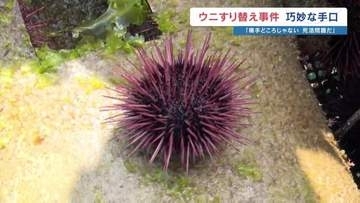 【ウニ すり替えの手口⁉】憤る養殖業者が気づいた"ロープの結び方の違い"　飼育資材の入れ替えのタイミング狙ったか　約6000万円の被害　海上保安部が捜査　熊本・天草