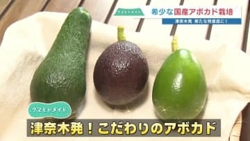 「広島で〝なる〟なら熊本でも」困難を乗り越え実った樹上完熟アボカド　輸入物とは別次元の口当たりと甘さ