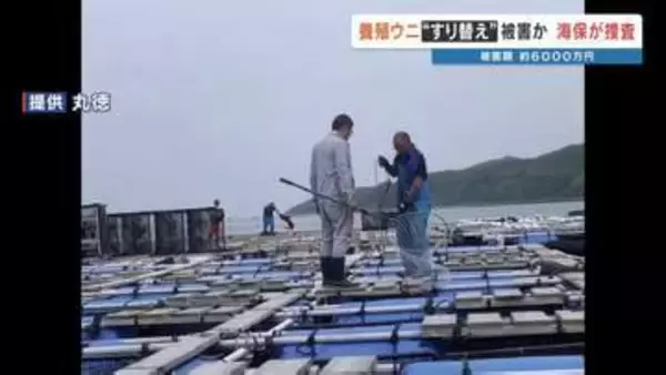 養殖ウニ「すり替え」か　被害額は約6000万円　熊本県天草市の水産会社が通報　海上保安部が捜査
