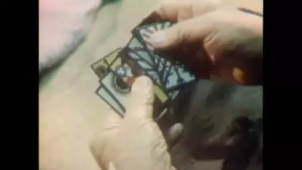 珍しいウンスンカルタ（人吉市）【昭和52年・1977年】～RKKニュースミュージアム～ 熊本