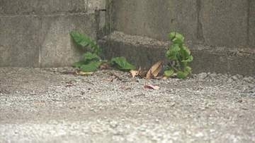 【速報】車内で"熱中症" 生後11か月の男児が死亡　母親「家事や仕事に気を取られて」　熱中症警戒アラート発表中 32.5℃まで気温上がる　熊本市