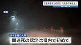 「去年8月大雨で初めての災害関連死認定　大雨の後に死亡した男性2人　熊本・八代市」の画像1