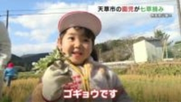 「セリ、ナズナ…♪」見つけた！園児たちが春の七草探し　摘みたてで無病息災願う『七草粥』