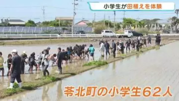 「感謝して食べたい」小学生が昔ながらの方法で田植えを体験　熊本・苓北町