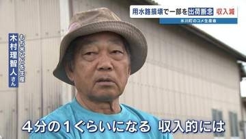 収入は約1/4に…　水路破損で生育不足　食用もち米を“飼料用”に転換　農家に大打撃　熊本・氷川町