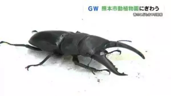 ゴールデンウィークのにぎわい　熊本市動植物園では春のこどもまつり　スペシャルガイドも