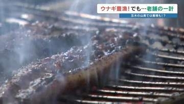 【最新ウナギ事情】豊漁なのに…物価高で価格据え置きの台所事情　熊本・五木村の清流で始まった"山奥の養殖"