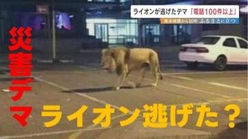 「ライオン逃げた」熊本地震のデマ　震度7の裏側で"避難や復旧を妨げた"もう一つの混乱