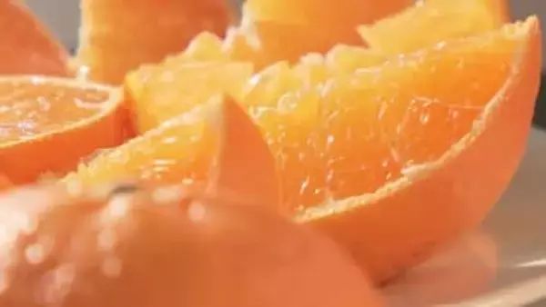 濃厚な甘さとしゃきっとした歯応えが特徴 高級かんきつ「甘平」の選果作業スタート【愛媛】