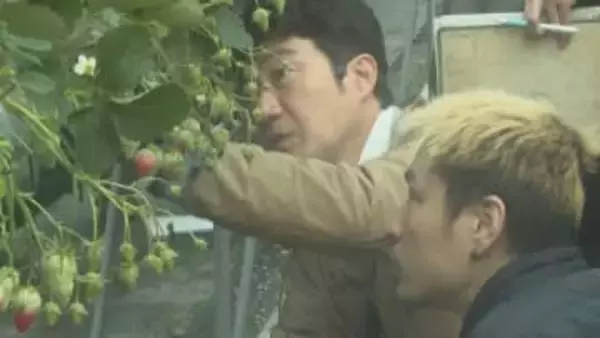 いちご農家の収入アップへ「生育の悪かった原因が数値でわかる」オランダ式生産技術の研修会