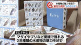 「愛媛の水産物の魅力を紹介、フリーペーパー「Eのさかな」が創刊10周年で「新・真鯛号」をお披露目」の画像1