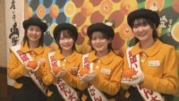 イヨカンの出荷最盛期を迎え「愛媛いよかん大使」が魅力PR 酸味と甘味のバランスとれた仕上がり