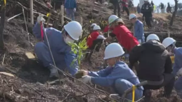 今治の大規模山林火災から1年、山林の復興願い 地元小学生が記念植樹