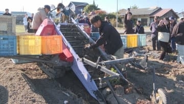 出荷量全国4位！ サトイモ生産者増加へセミナー【愛媛】