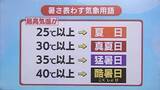 「最高気温40℃以上の日は「酷暑日」 新名称が決定、アンケートで超猛暑日が2番目に多く」の画像1