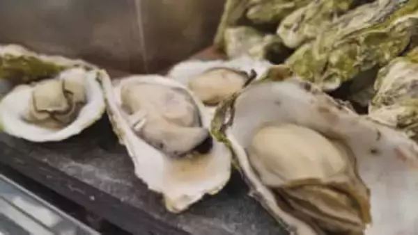 焼きガキに蒸しガキ、カキ汁も！大量死や貝毒乗り越え「牡蠣まつり」あすまで開催【愛媛・愛南町】