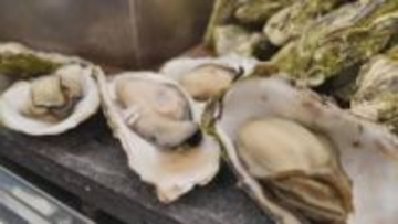 焼きガキに蒸しガキ、カキ汁も！大量死や貝毒乗り越え「牡蠣まつり」あすまで開催【愛媛・愛南町】