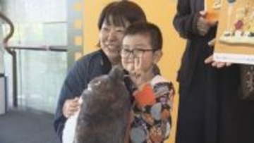 愛媛県美術館で開催中「金曜ロードショーとジブリ展」の入場者が3万人到達